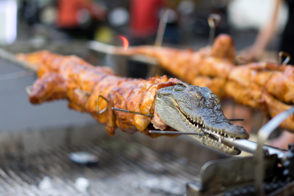 Heb jij wel eens krokodil van de barbecue gegeten?